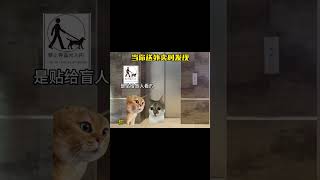 当你送外卖时发现 #猫meme