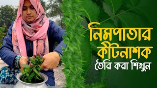 নিম পাতার কীটনাশক তৈরীর সহজ পদ্ধতি! #agriculture