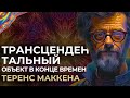 Теренс МакКенна - Трансцендентальный объект в конце времён (Terence McKenna)