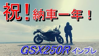 【祝１周年】バイクを納車して一年たったので素人初心者がインプレしてみた【GSX250R