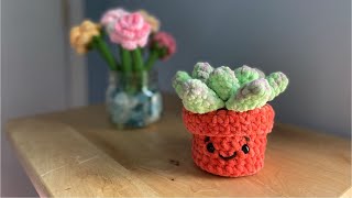 Succulent Amigurumi