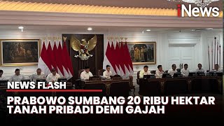 Pimpin Sidang Kabinet Paripurna, Prabowo Sumbang Lahan 20 Ribu Hektar untuk Gajah