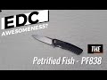 Petrified Fish PF838 - The ultimate budget folding knife? #edc#survival #d2  #amazing #quality #gear