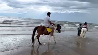 ขี่ม้าริมหาดชะอำ200บาท ขี่ได้ไกลมาก หาดเปิดแล้วนะเพื่อนๆ ชะอำ หัวหิน จังหวัดเพชรบุรี ประจวบคีรีขันธ์