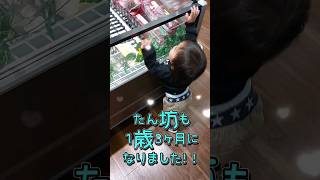 《1歳3ヶ月》元気いっぱい　楽しいよ　ありがとう#日常#成長#子供#1歳児 #shortvideo#癒し#癒し#あかちゃんのいる生活#ショート#育児#short#shorts#赤ちゃん#親子#成長記録