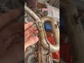 Baritone saxophone from 1905! Part 2