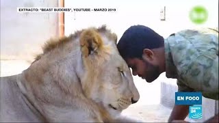 La moda de los grandes felinos domésticos en Pakistán