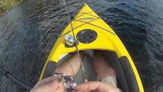 spider lake flyfishing