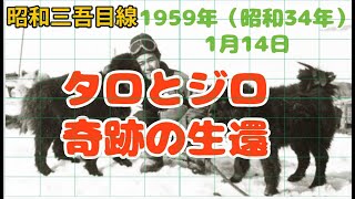 【1月14日】「タロとジロ救出」　1959年（昭和34年）　昭和三吾目線