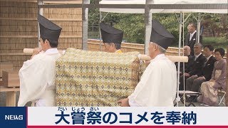 大嘗祭で使うコメを奉納