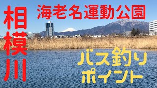 【おかっぱり】神奈川県海老名市　相模川でバス釣り