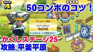 平釜平原（ひらがまへいげん）かくしステージ25 なみガッパ ぷにぷに 妖怪ウォッチ Yo-kai Watch Wibble Wobble