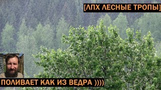 [VLOG_ЛТ#118]: сильнейший дождь с ветром, кругом течет вода)