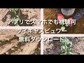 なかざわけんじ くまもとぐらし vol.8