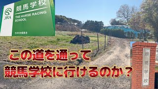 競馬学校に行こうとして道に迷ってみた