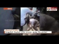 public thrashes police officer for misbehaving with a girl at punjab polimer news