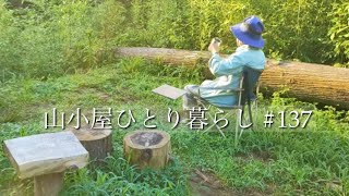 山小屋【電気無し】😡ギブアップ近し😱　|猛暑なのに焚き火⁉️🔥 | 暑い夏をやり過ごす方法☀