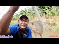 MANCING IKAN NILA PAKAI JARING || Dapat juga ikan aneh seekor.