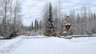 Freight train T 2240 passed NAAKKIMA (Km. 0362+0378) level crossing in Pieksämäki, Finland