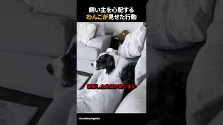 飼い主を心配するわんこが見せた行動