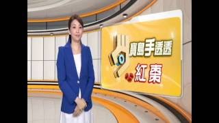 20160822 公視手語新聞 寶島手透透 來學「紅棗」手語