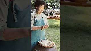 [김장주문] 마늘은 얼마나 넣어야 맛있을까? #김치명인이하연 #김치요리 #김장준비