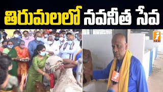 తిరుమల ఆలయంలో మరో కొత్త సేవ | TTD to Start Navaneeta Seva in Tirumala Temple | iNews