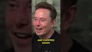 Elon Musk Bids $100b to Take Over OpenAI!