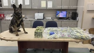 Forsyth Co. drug task force seizes over $1 million of THC vape pens