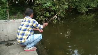 Amazon fishing hunting big pangas tangra fish catching village fishing Incredible fishing