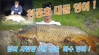 2024년 잉어 사랑방 7월 정출2부  !  - 오름 수위 잉어 원투 낚시 - Korean carp fishing !