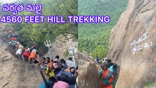 Parvathamalai 4560 Feet Hill Trekking/#youtube