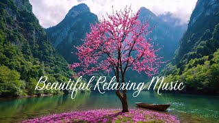 Beautiful Relaxing Music for Stress Relief ~ Calming Music ~ Meditation, Relaxation