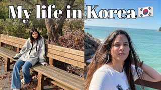 My new life in Korea…yayyy🇰🇷