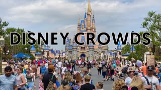 How to Beat the Crowds at Walt Disney World | Insider Tips & Crowd-Avoidance Hacks