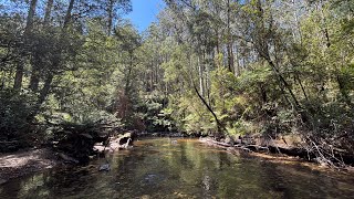 Trout Fishing One Hit Wonders!