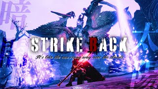 【モンハンMAD】STRIKE BACK