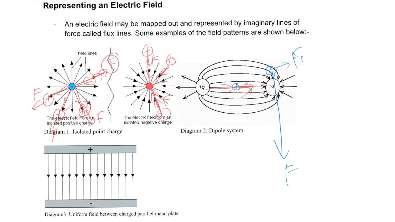 Electric Field Concept Builder At Elden Martin Blog
