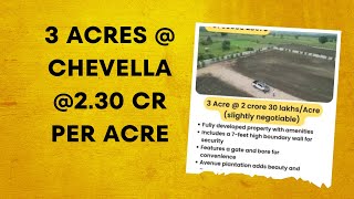 🌾 Farmland for Sale in Chevella | 3 Acres | Beautiful Avenue Plantation | Contact: 99088 28970 🌾