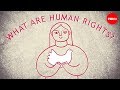 What are the universal human rights? - Benedetta Berti