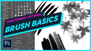 Photoshop brush settings explained.