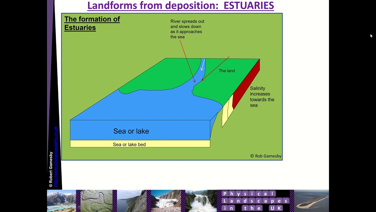 River Estuary Diagram Geography Notes On Rivers And Drainage Basins