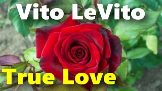 Vito LeVito - True love - 2012