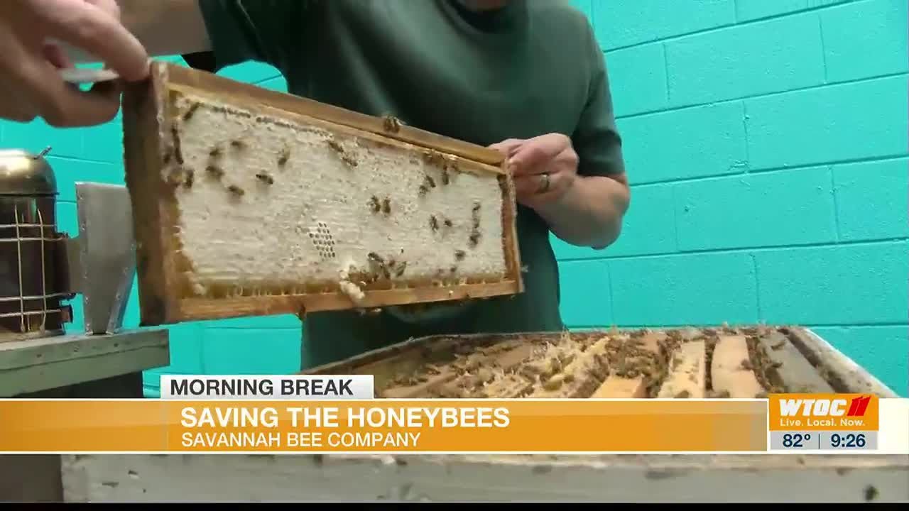 Savannah Bee Company: Saving The Honeybees - YouTube