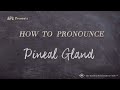 How to Pronounce Pineal Gland (Real Life Examples!)