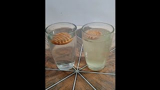 🔥🔥ENO Vs Biscuit 🍪 Amazing Experiment😱😱 || Water Science Experiment | #shorts |#science |#experiment