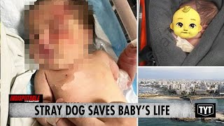 Stray Dog Saves Abandoned Baby's Life