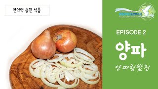 [언택트복지관특집] 건강톡톡! 2.양파