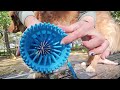 kabetig dog paw cleaner cup review a must have for muddy paws