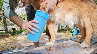 Kabetig Dog Paw Cleaner Cup Review: A Must-Have for Muddy Paws